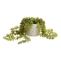 World Market Faux String of Pearls Plant in Textured Pot