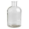 World Market Wide Neck Clear Glass Vase