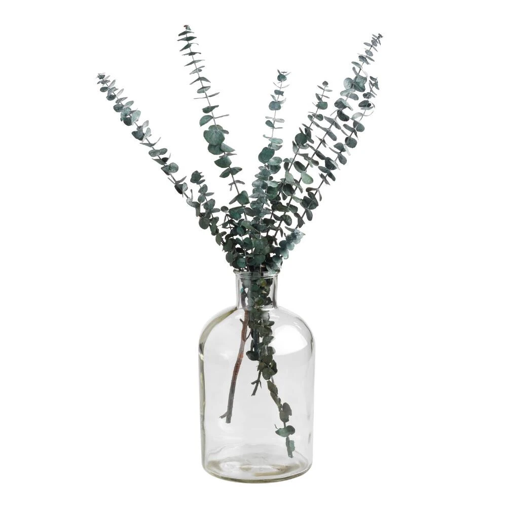 World Market Wide Neck Clear Glass Vase - Image 2