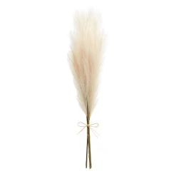 World Market Natural Faux Pampas Grass Bunch