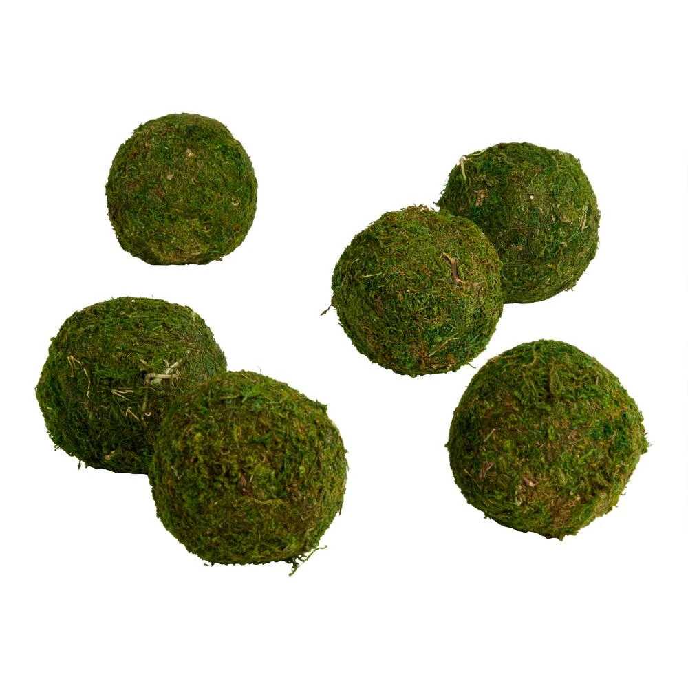 World Market Green Moss Ball Decor 6 Piece