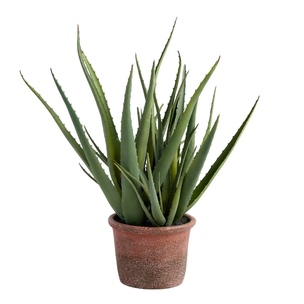 World Market Faux Aloe Plant In Terracotta Pot