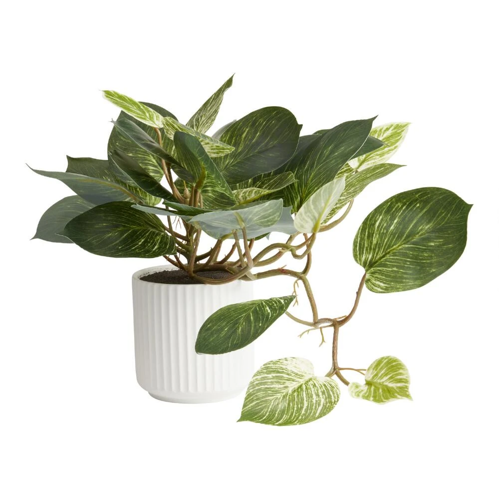 World Market Faux Pothos Plant in White Ceramic Pot