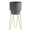 World Market Tapered Black Metal Planter With Gold Hairpin Stand