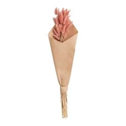 World Market Pink Dried Bunny Tails Bunch