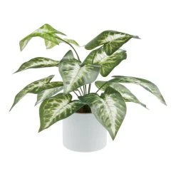 World Market Faux Dasheen Leaf Plant in White Cement Pot