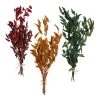 World Market Dried Willow Eucalyptus Bunch