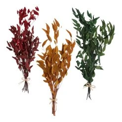 World Market Dried Willow Eucalyptus Bunch