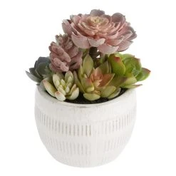 World Market Faux Succulent Arrangement in Glazed Ivory Ceramic Pot