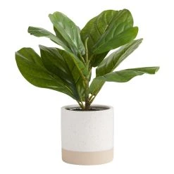 World Market Faux Fiddle Leaf Fig Plant in Two Tone Cement Pot