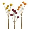 World Market Faux Fall Allium Bunch