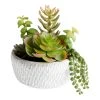 World Market Faux Succulent Arrangement in Gray and White Cement Pot