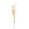 World Market Bleached Faux Protea Flower Bunch