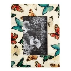 World Market Butterfly Bone Frame