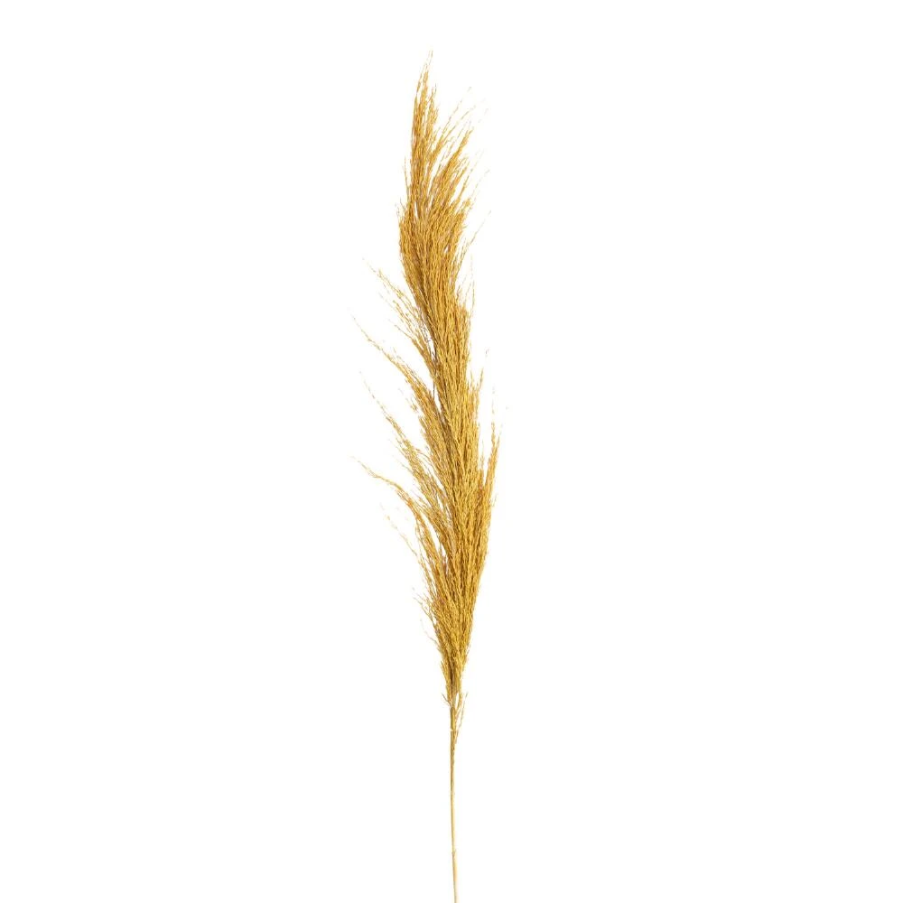 World Market Dried Fluffy Grass Bunch - Image 2