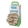 World Market Back to the Roots Organic Oyster Mushroom Grow Kit