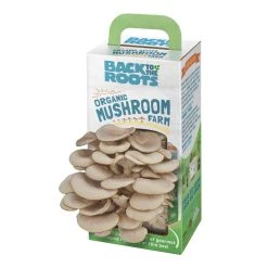 World Market Back to the Roots Organic Oyster Mushroom Grow Kit