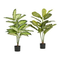 World Market Faux Dieffenbachia Plants Set of 2