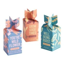 World Market Modern Sprout Seed Bomb Popper Set of 3