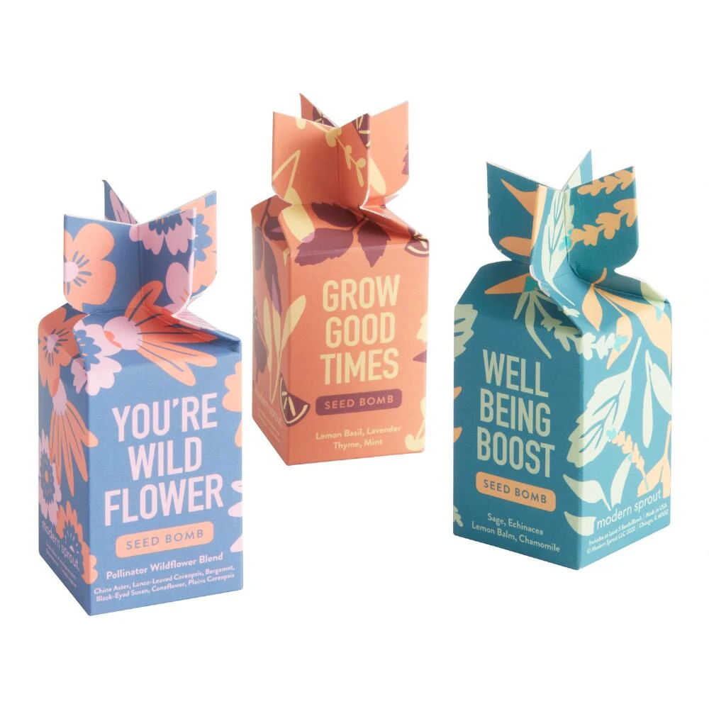 World Market Modern Sprout Seed Bomb Popper Set of 3