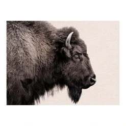 World Market Buffalo Profile Canvas Wall Art