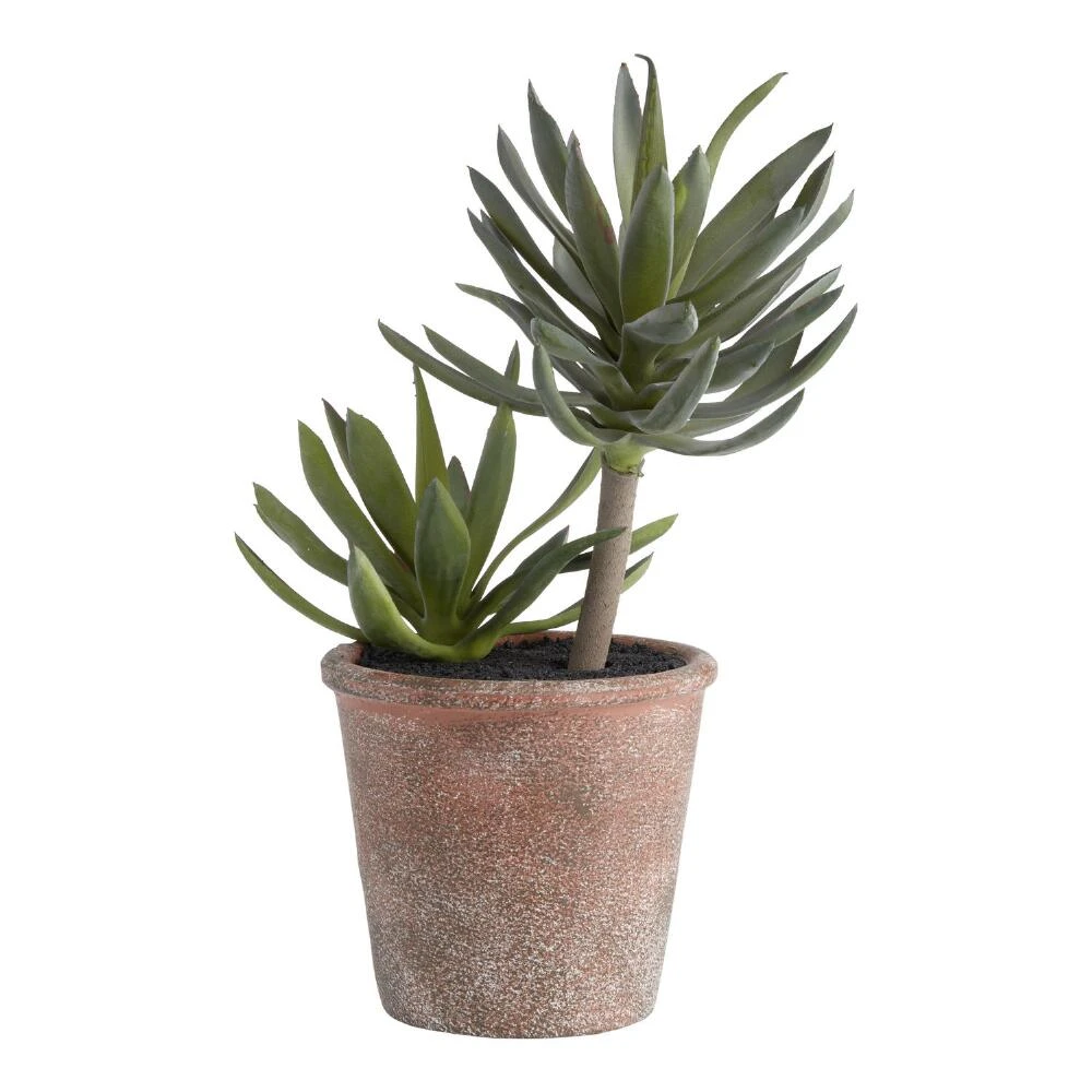 World Market Faux Succulents in Rustic Pot
