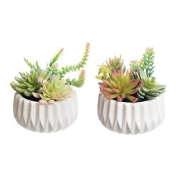 World Market Faux Succulent Arrangements in Geo Ceramic Pots Set of 2