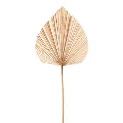 World Market Dried Anahao Palm Stem