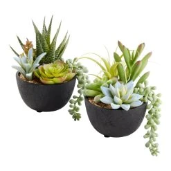 World Market Faux Succulent Arrangements in Black Pots Set of 2