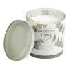 World Market Large Eucalyptus and Neroli 3 Wick Scented Candle