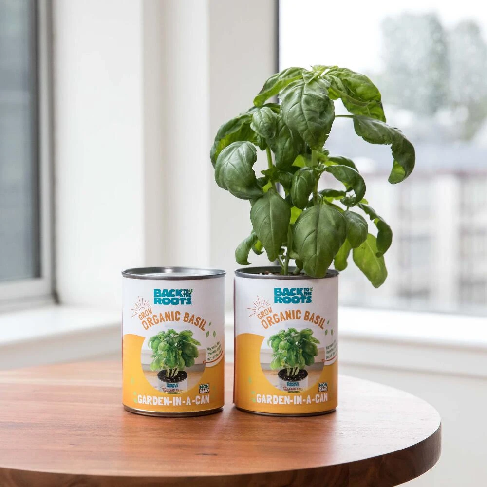 World Market Back To The Roots Kitchen Herb Garden Grow Kit 3 Pack - Image 4