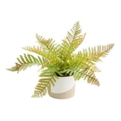 World Market Faux Fern in Two Tone Ceramic Pot