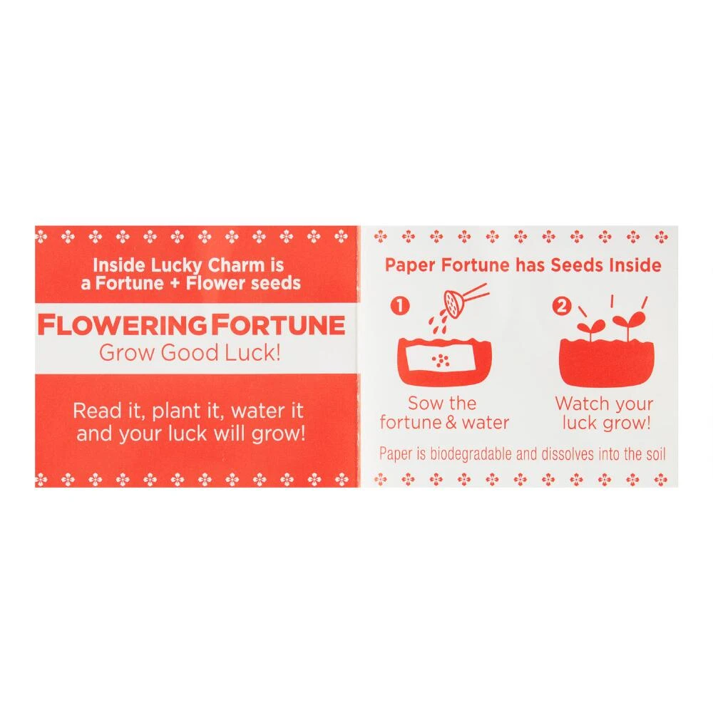 World Market Flowering Fortunes Grow Good Luck Daruma Doll - Image 2