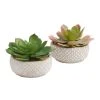 World Market Faux Echeverias in Geo Cement Pots Set of 2
