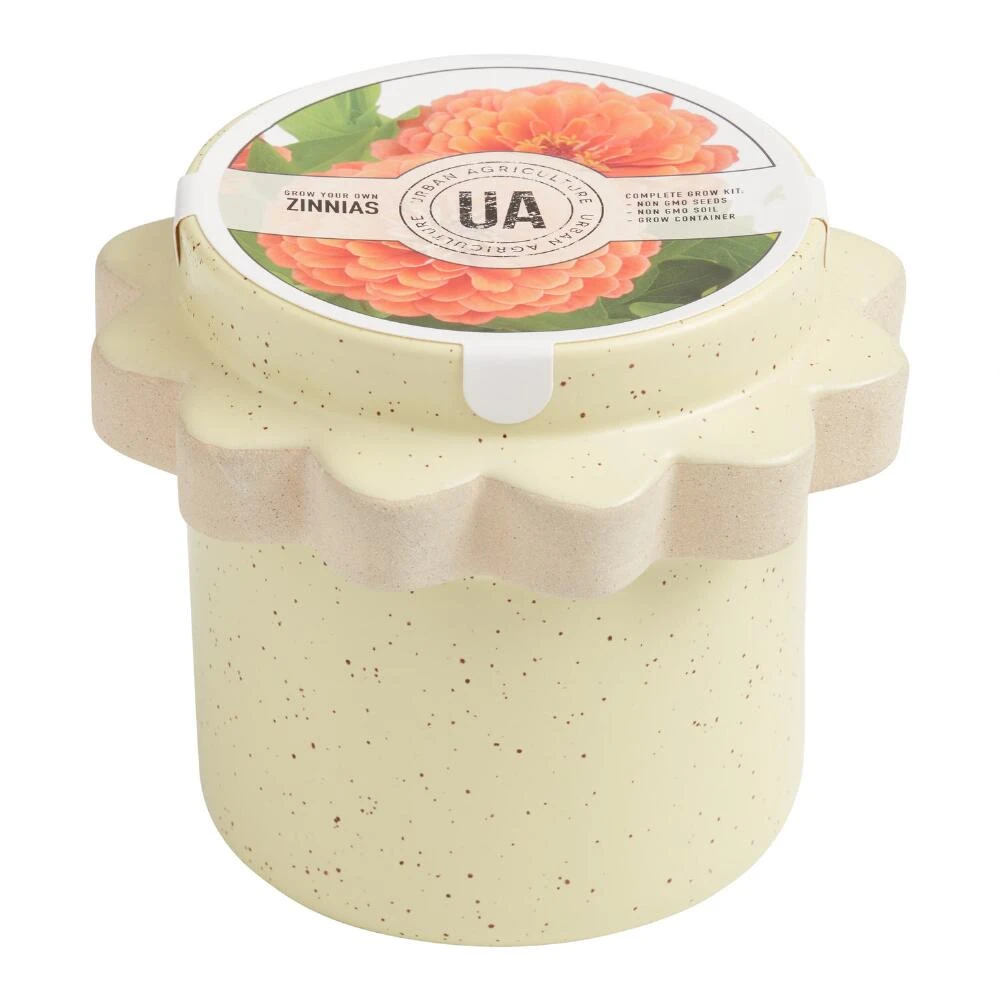 World Market Urban Agriculture Floral Garden Ceramic Planter Grow Kit - Image 2