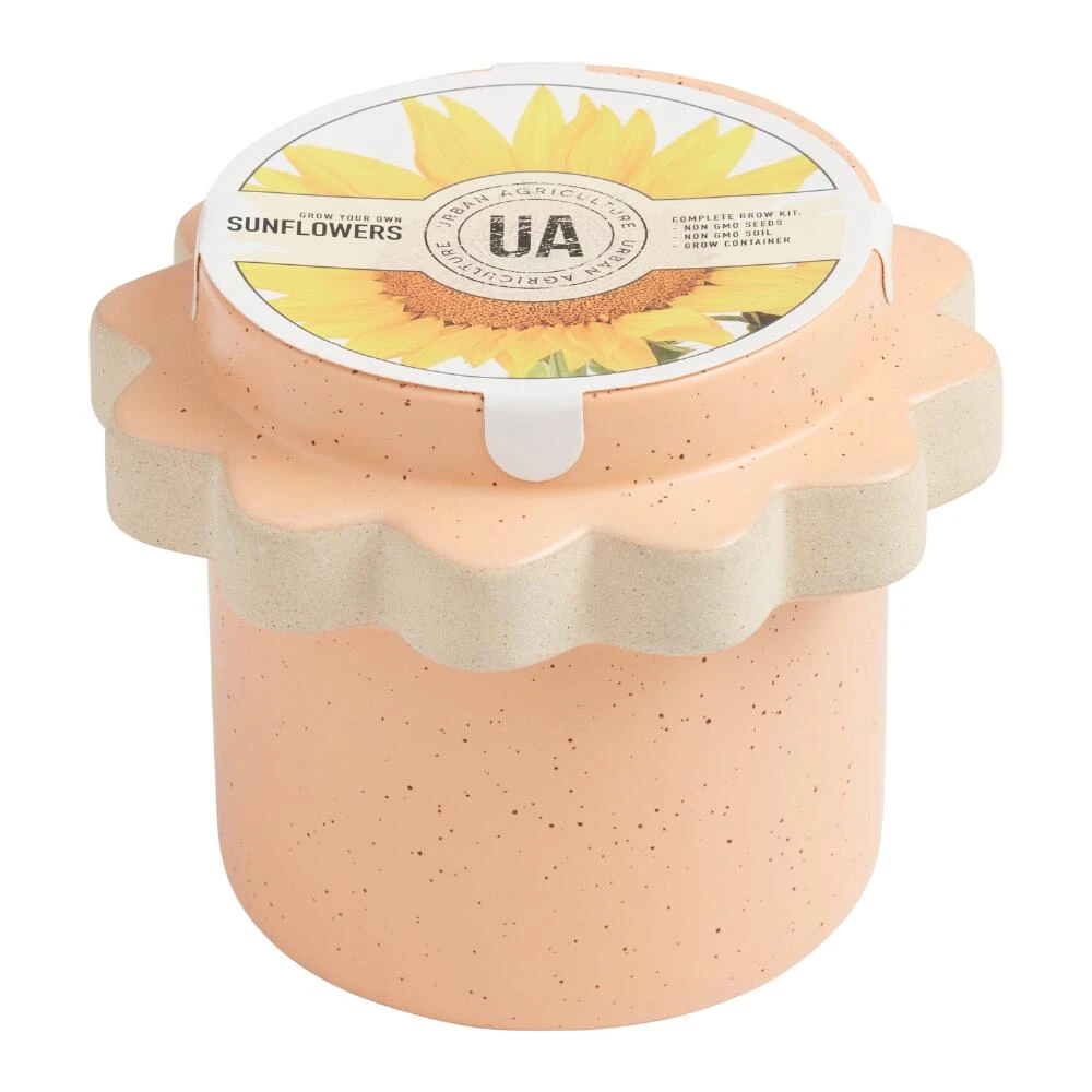 World Market Urban Agriculture Floral Garden Ceramic Planter Grow Kit - Image 3