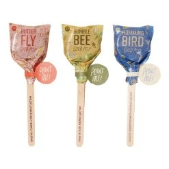 World Market Modern Sprout Pollinator Seed Lollipops Set of 3