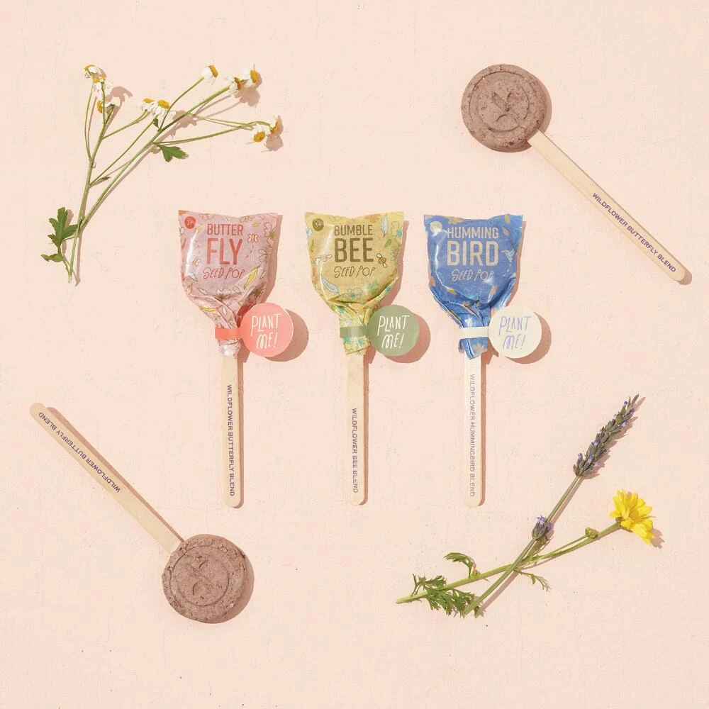 World Market Modern Sprout Pollinator Seed Lollipops Set of 3 - Image 2