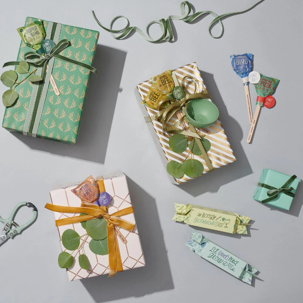 World Market Modern Sprout Pollinator Seed Lollipops Set of 3 - Image 3