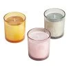 World Market Large Bubble Glass Botanical Scented Candle