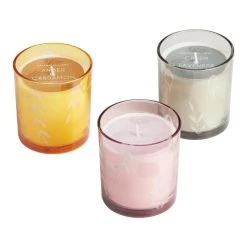 World Market Large Bubble Glass Botanical Scented Candle