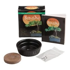 World Market Mini Bonsai Kit