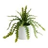 World Market Faux Zigzag Cactus in White Ceramic Pot