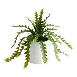World Market Faux Zigzag Cactus in White Ceramic Pot