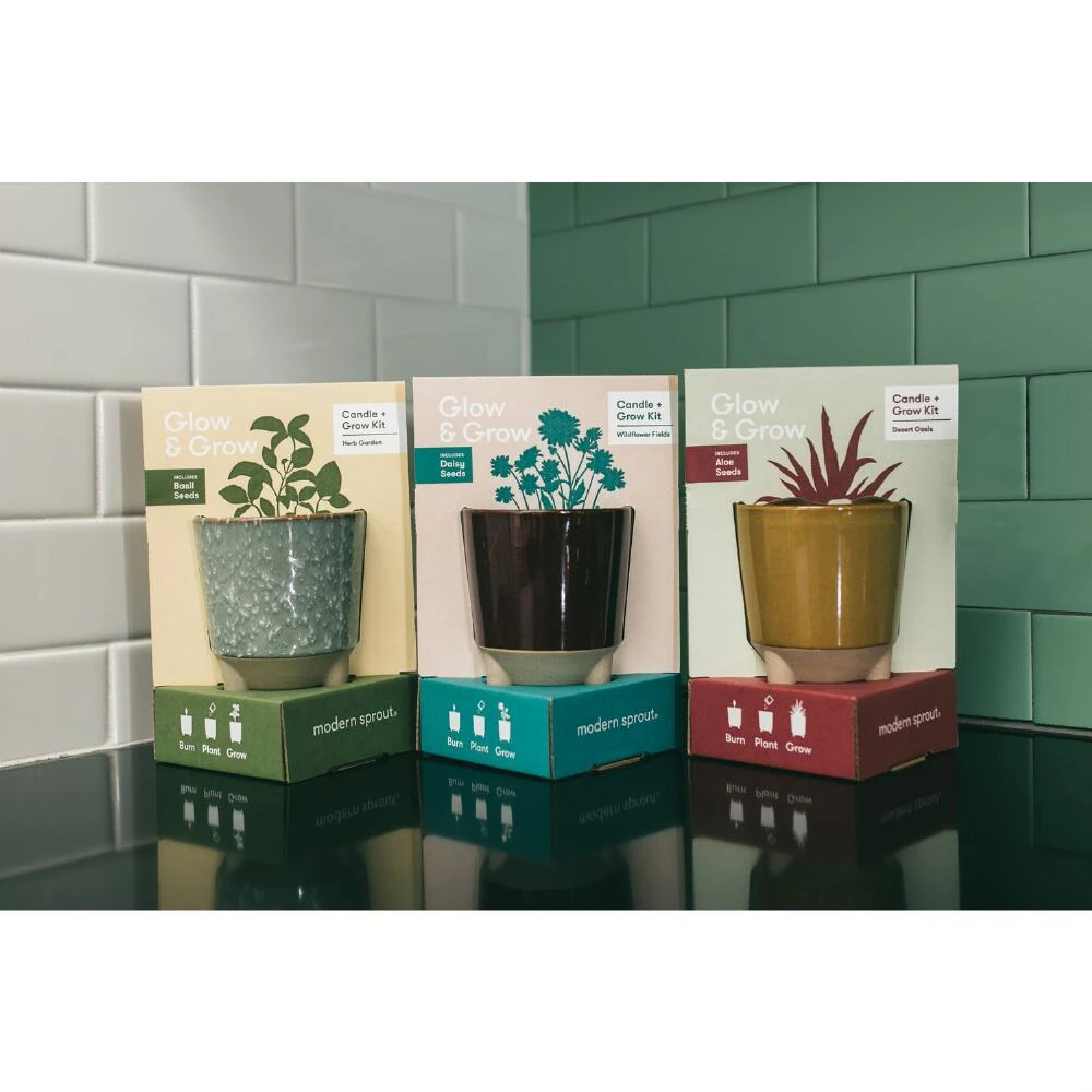 World Market Modern Sprout Basil Glow and Grow Ceramic Candle & Grow Kit - Image 3