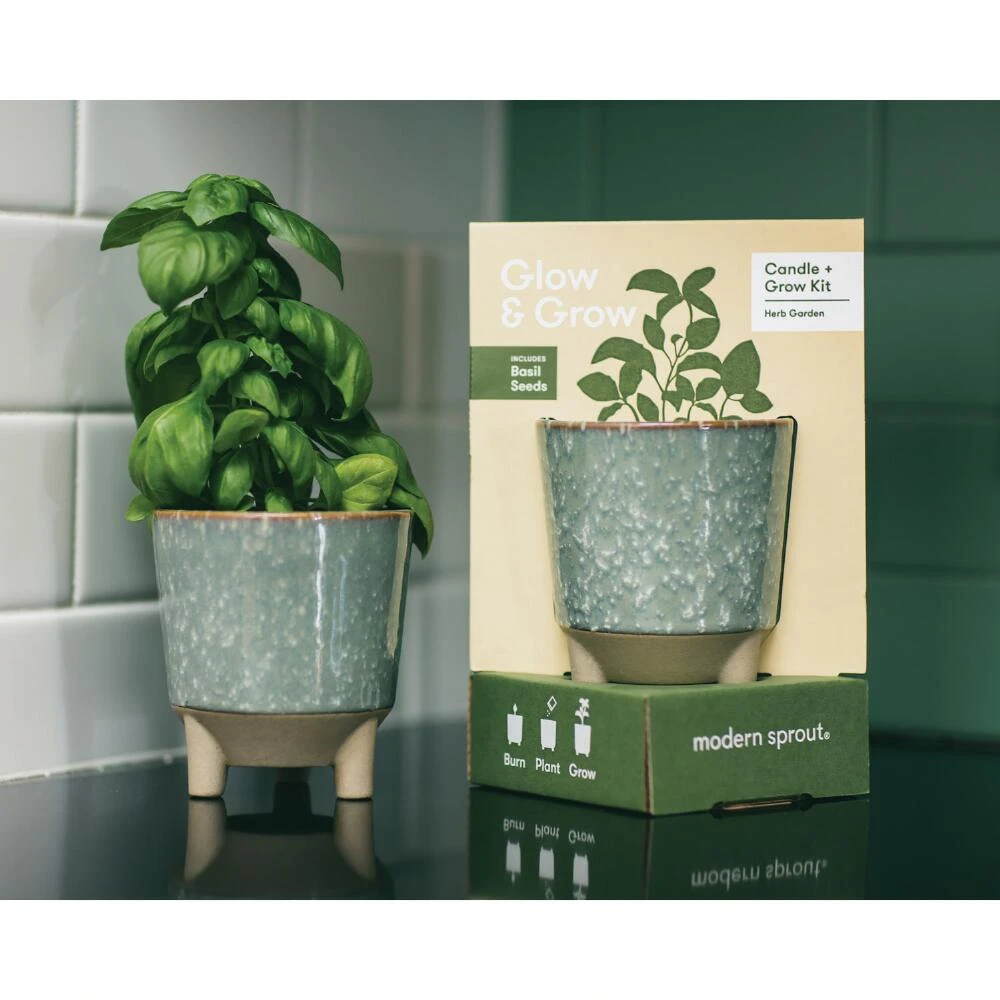 World Market Modern Sprout Basil Glow and Grow Ceramic Candle & Grow Kit - Image 5