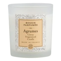 World Market Citrus Bougie Parfumee Scented Candle