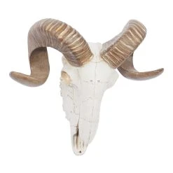 World Market Faux Ram Skull Wall Decor