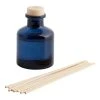 World Market Apothecary Mini Seaside Mist Reed Diffuser