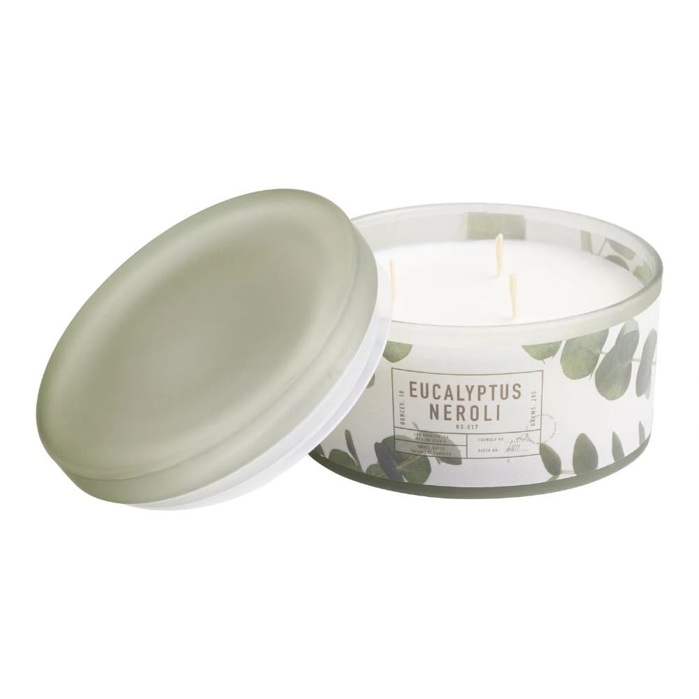 World Market Small Eucalyptus and Neroli 3 Wick Scented Candle